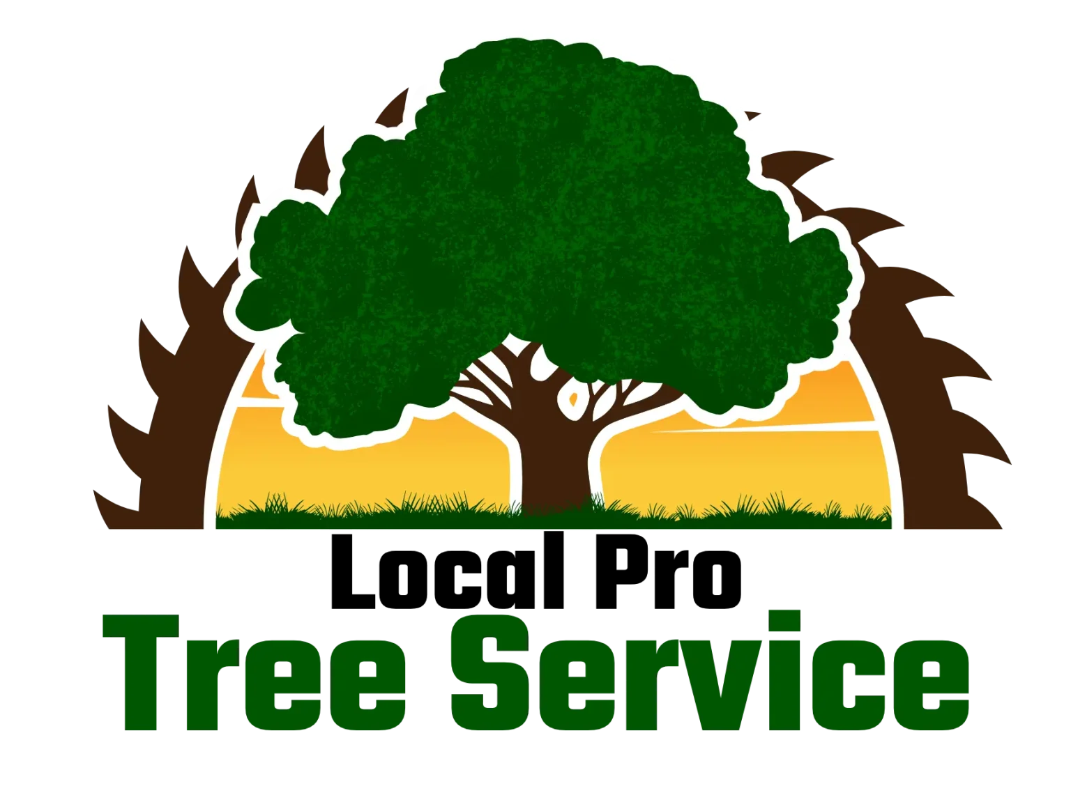 Top Rated Tree Service In Frisco